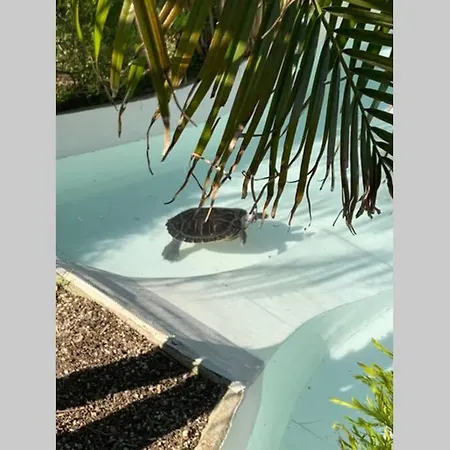 On Monte São Felix Villa Laundos