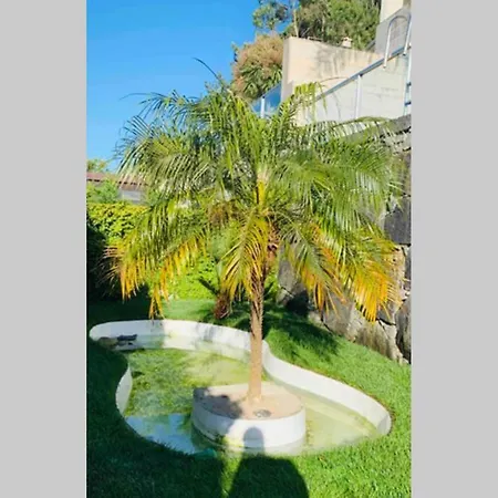 On Monte Sao Felix *