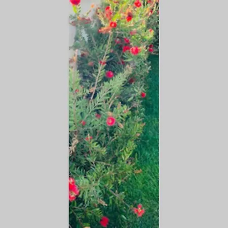 Villa On Monte Sao Felix *