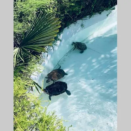 On Monte Sao Felix Villa *