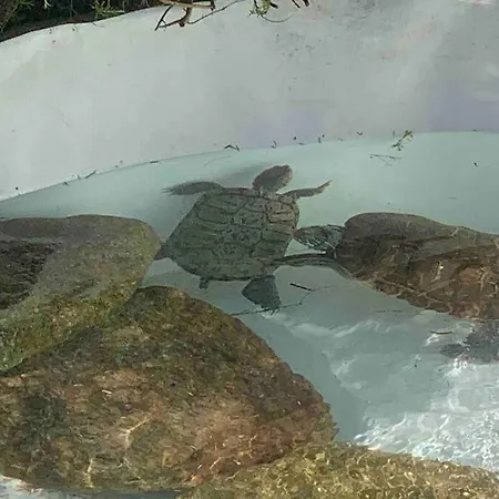 Villa On Monte Sao Felix *