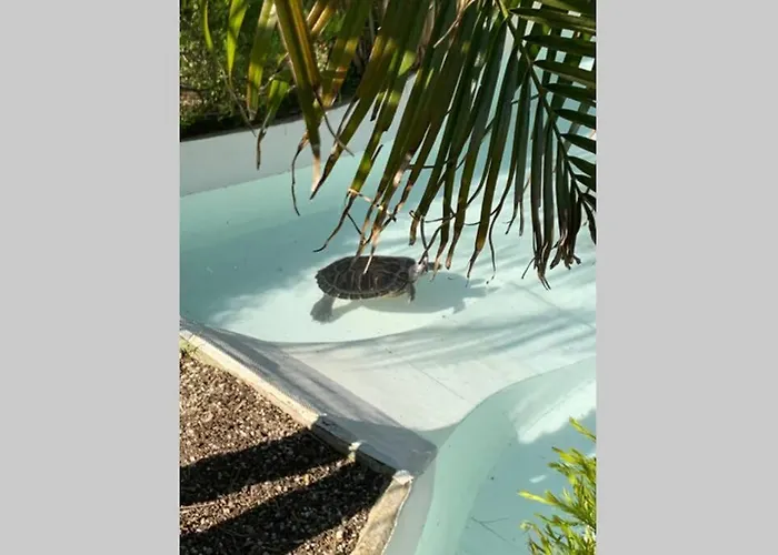 On Monte Sao Felix Villa Laundos