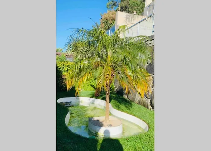 On Monte Sao Felix *