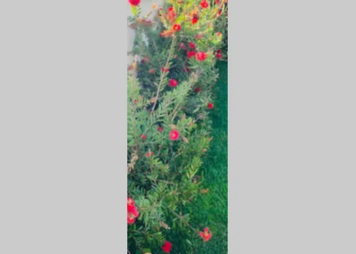 Villa On Monte Sao Felix *