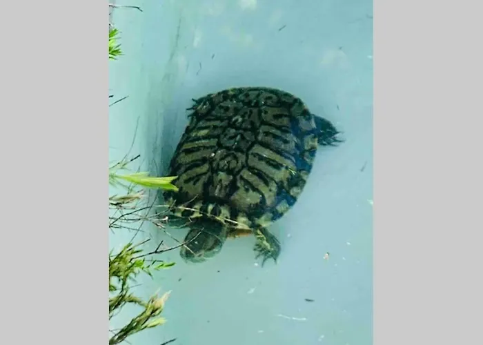 Villa On Monte Sao Felix *