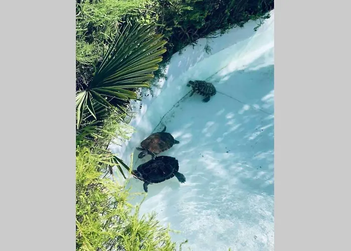 On Monte Sao Felix Villa *