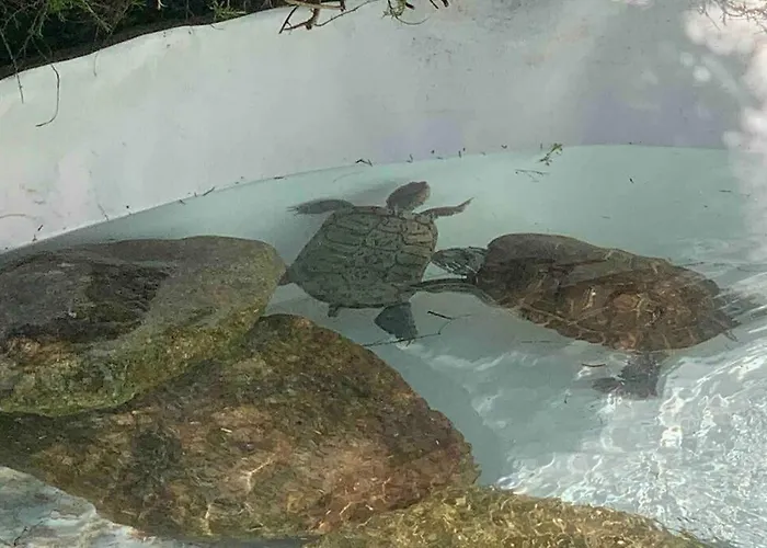 Villa On Monte Sao Felix *